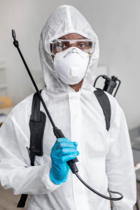 Professional pest control expert ready to handle severe rodent infestations when DIY methods fall short.