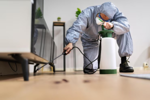 Pest control exterminator spraying termite pesticide indoors to ensure effective pest control treatment.