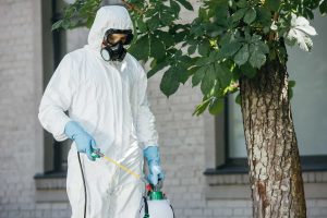 pest control worker spraying pesticides on street 2024 11 01 06 28 47 utc