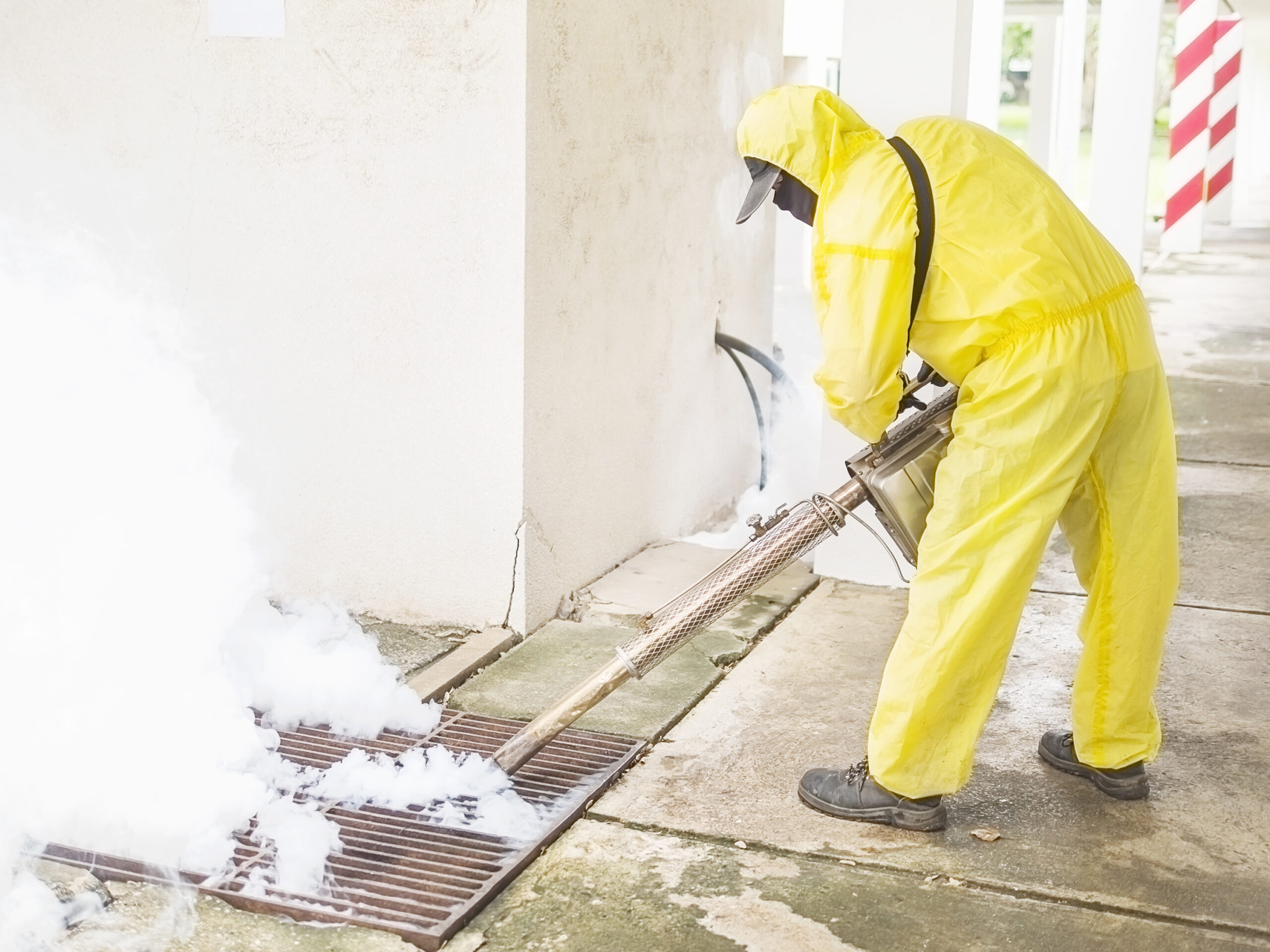 Action Services Wildlife & Pest Control - Waco TX