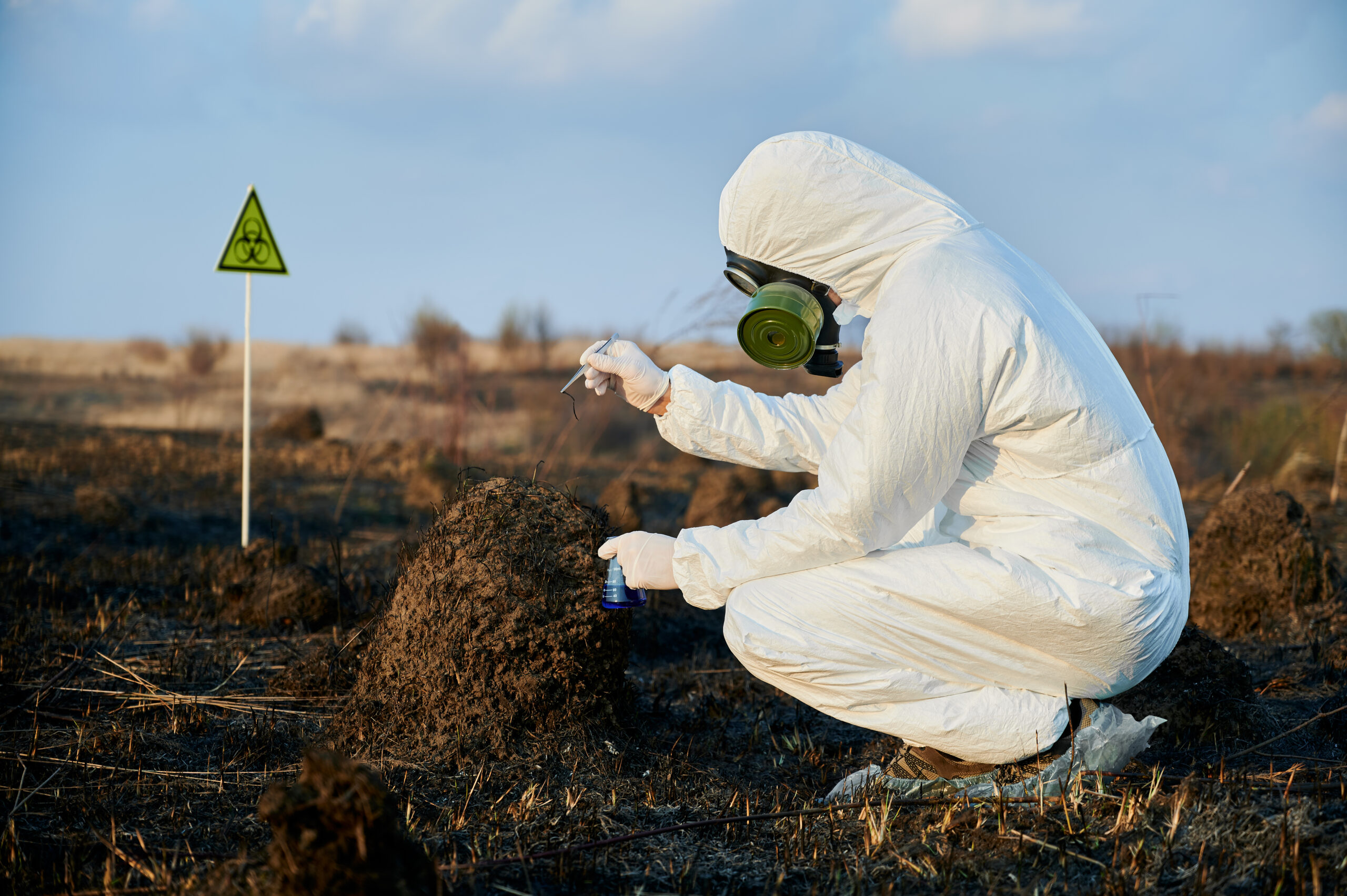 Action Services Wildlife & Pest Control - Waco TX