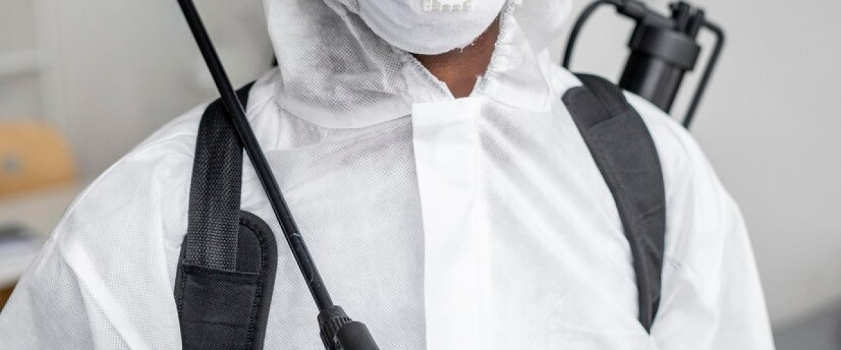 Professional pest control expert ready to handle severe rodent infestations when DIY methods fall short.